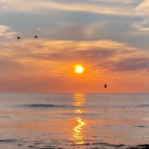 Meet your Posher, Carey